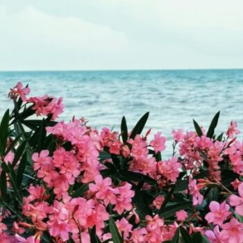 cosa fare a Riccione in primavera