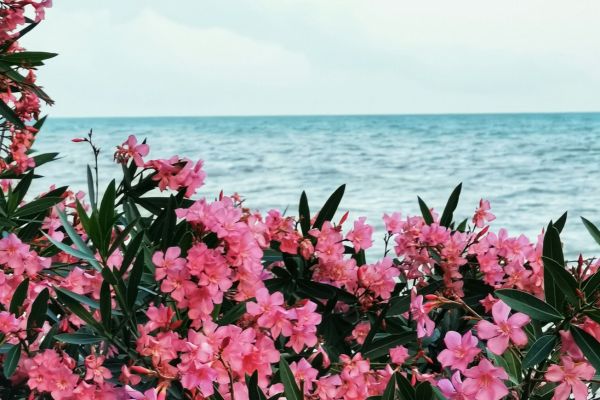 cosa fare a Riccione in primavera
