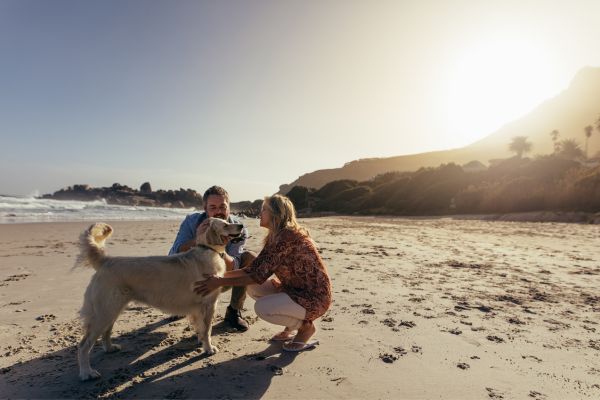 vacanze con animali a riccione